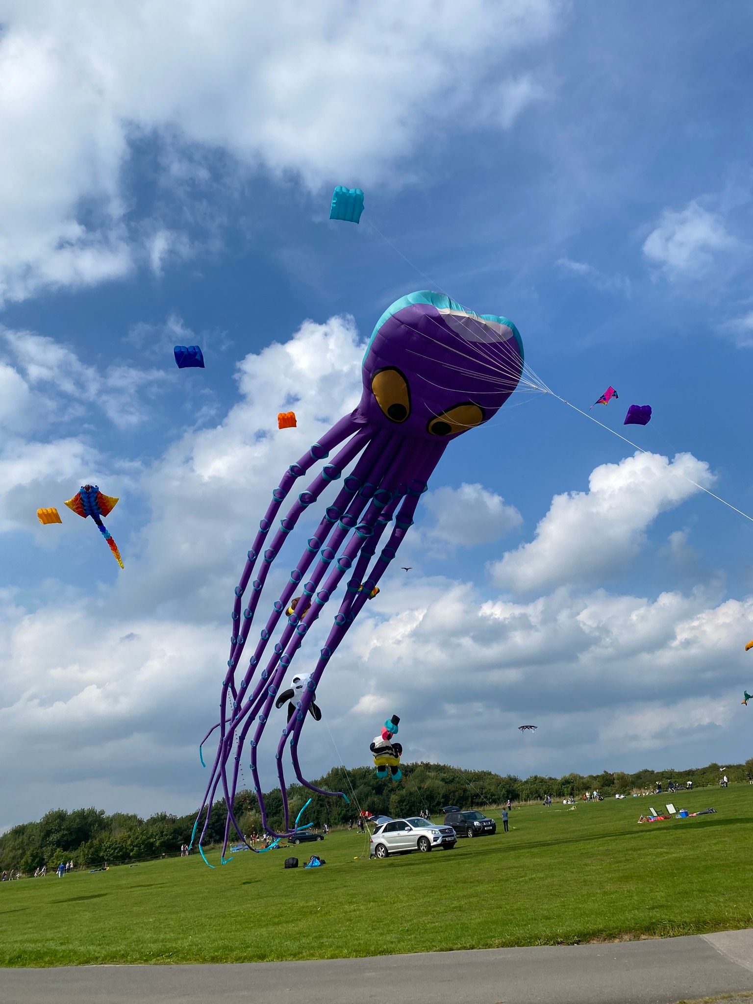 Filey Kite Festival Set to Soar Once Again Filey